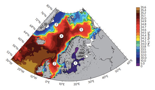 The Nordic seas: 1, Baltic Sea; 2, North Sea; 3, Greenland Sea; 4, Norwegian Sea; 5, Barents Sea. Mean surface salinity 1980-present. Salinity gradients are projected to become steeper in future, making these seas more sensitive to environmental change.