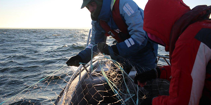 Field survey in the Baltic Sea in the BONUS INSPIRE project