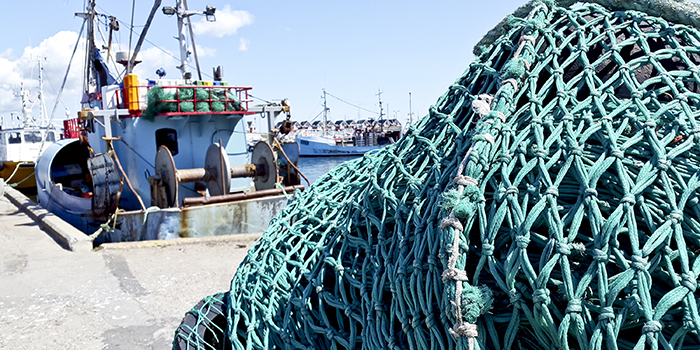 Fiskerihavn. Foto: Danmarks Fiskeriforening PO