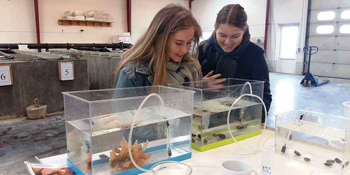 Gymnasieelever på Dansk Skaldyrcenter. Foto: Lene Friis Møller