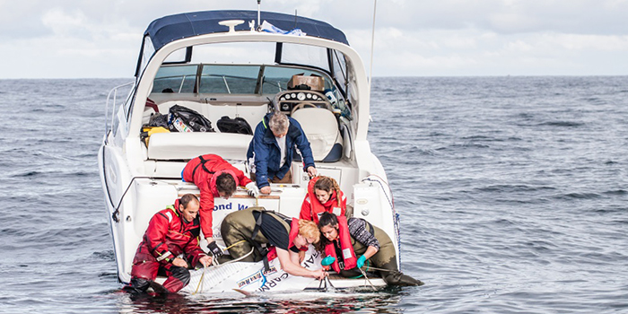 Tunmærking. Foto: Lars Norman Hestbæk/WWF Danmark.