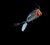 Copepod