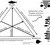 Spatial pattern of the strategies proportions in the communities