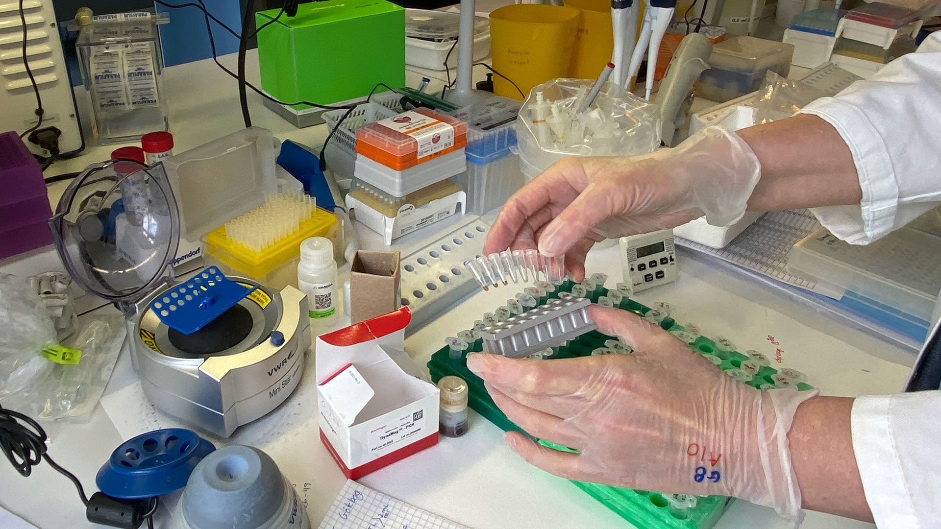 Gentisk laboratorium på DTU Aqua, Silkeborg
