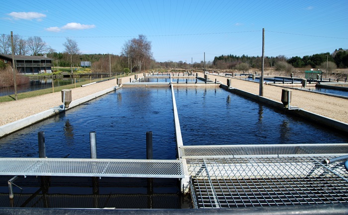 Aquaculture Plant. Photo: Peter Skov