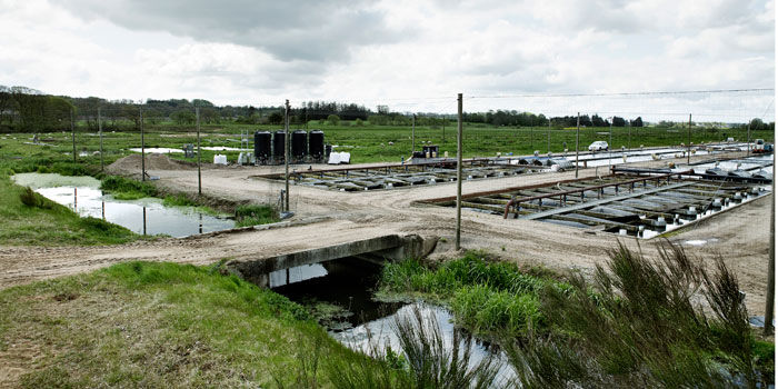 Kongeåen modeldambrug ved Brørup. Foto: Martin Dam Kristensen.