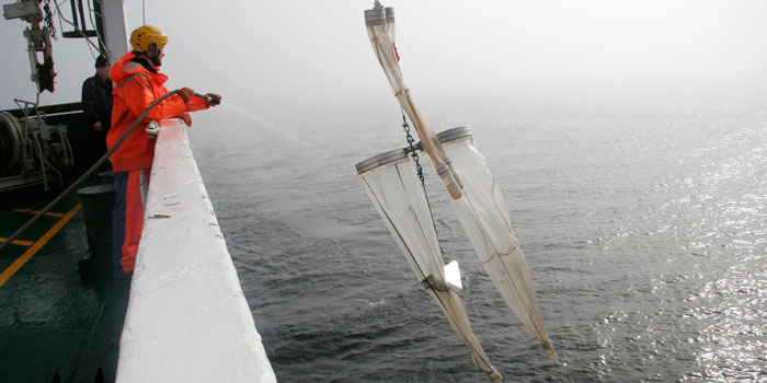 DTUs store havforskningskib Dana undersøger livet i Østersøen.