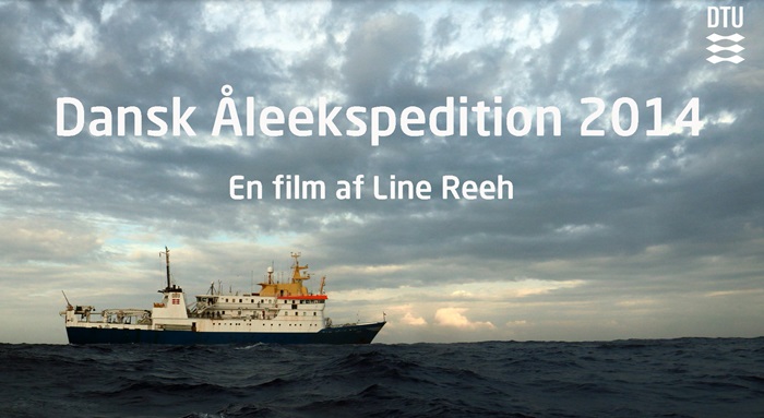 Forside af filmen "Dansk Åleekspedition 2014".