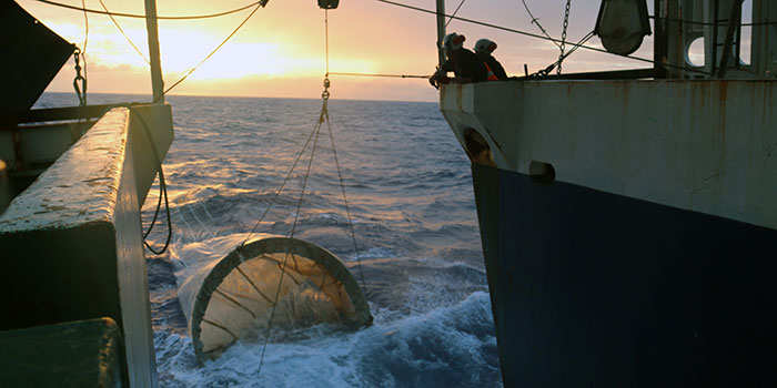 Fiskeri efter fiskelarver på Dana i Sargassohavet marts 2014. Foto: Line Reeh.