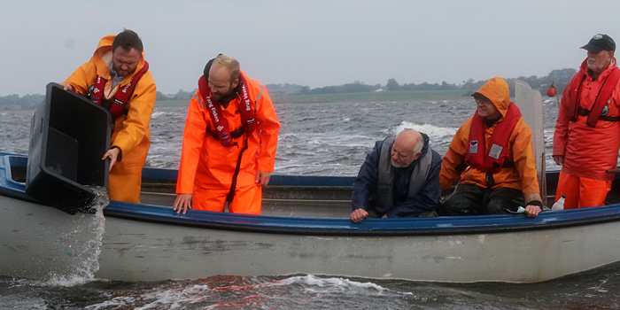 Udsætning af pighvarrer i Roskilde fjord. Foto: Line Reeh