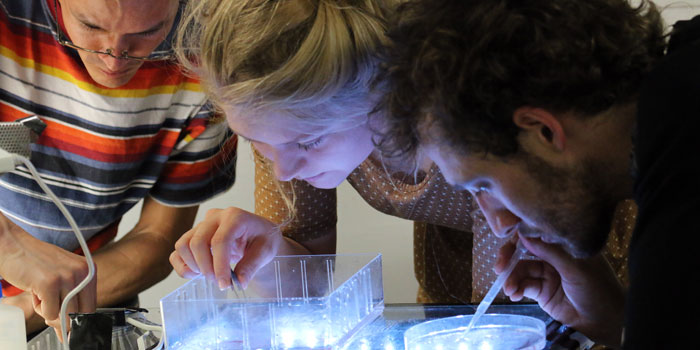 Laboratoriearbejde på havforskningsskibet Dana. Foto: Line Reeh