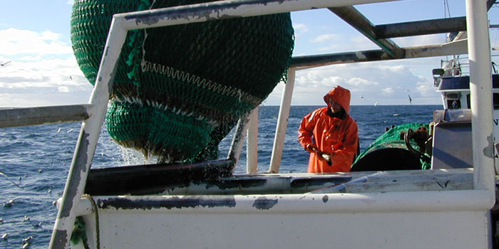Fiskeri. Foto: DTU Aqua