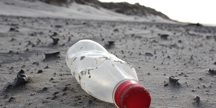 Plastflaske på strand. Foto: Thomas Kirk Sørensen