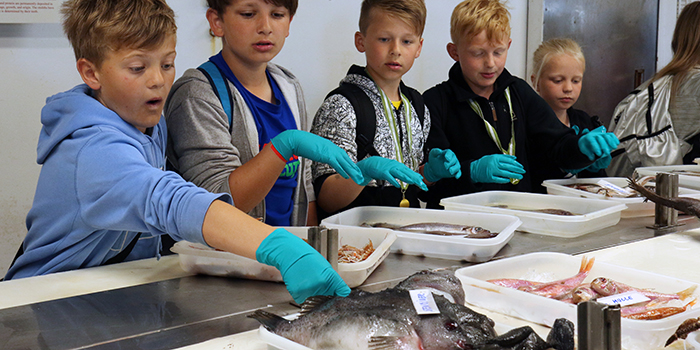 Skoleelever kigger på fisk. Foto: Line Reeh.