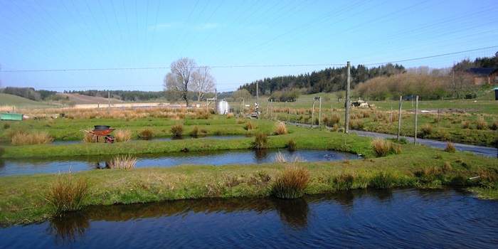 Dambrug, der opdrætter økologiske fisk. Foto: Alfred Jokumsen
