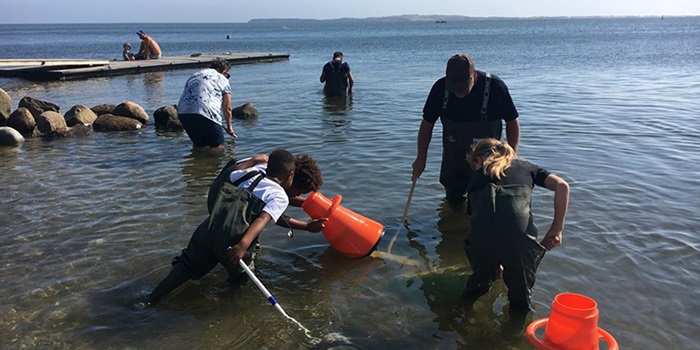 Guidede ture på Dansk Skaldyrcenter og ved Limfjorden. Foto: Morsø Turistbureau - Destination Mors