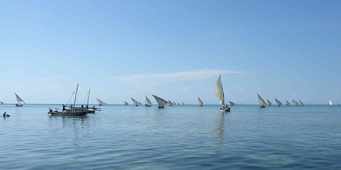 Artisanal data-limited fisheries in Tanzania. Photo: Thomas Mildenberger