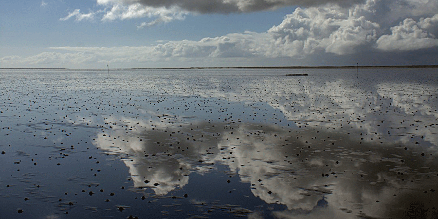 The Wadden Sea National Park. Photo Colin Seymour