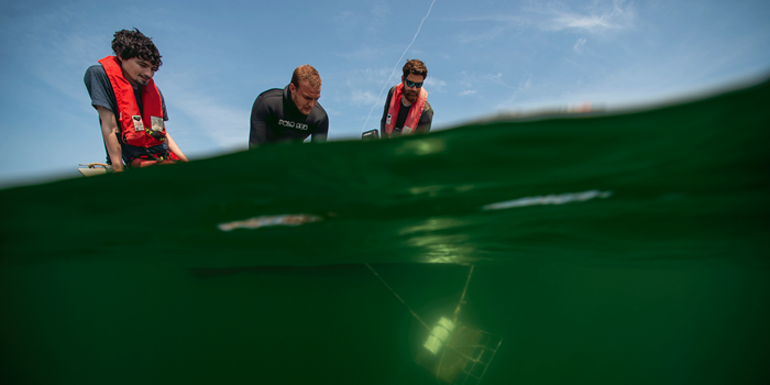 Udsætning af fjernstyret undervandsvideosystem til overvågning af restaureringsområde i Flensborg Fjord. Foto: Casper Tybjerg (www.ttf.dk)