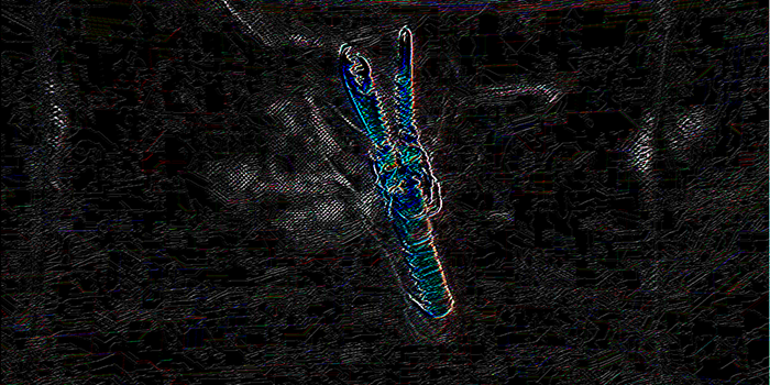 A feature map produced by the second convolutional layer of a Convolutional Neural Network applied to an input RGB image of Nephrops norvegicus recorded inside the demersal trawl.