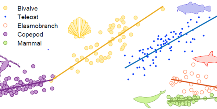 Afkommets størrelsesstrategier for fem marine grupper: muslinger, benfisk, bruskfisk, vandlopper og havpattedyr. Figur fra Rémy Denéchères ph.d.-afhandling