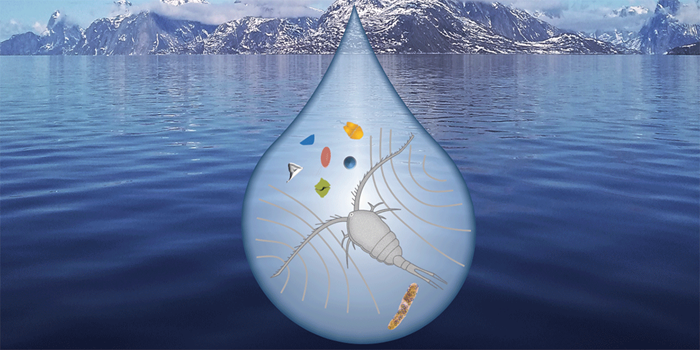 Vanddråbe med vandloppe og mikroplast i arktisk landskab. Foto og grafik: Rocio Rodriguez Torres