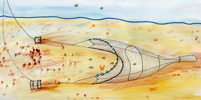 Traditional sandeel otter trawl. Illustration: Neil Bromhall.
