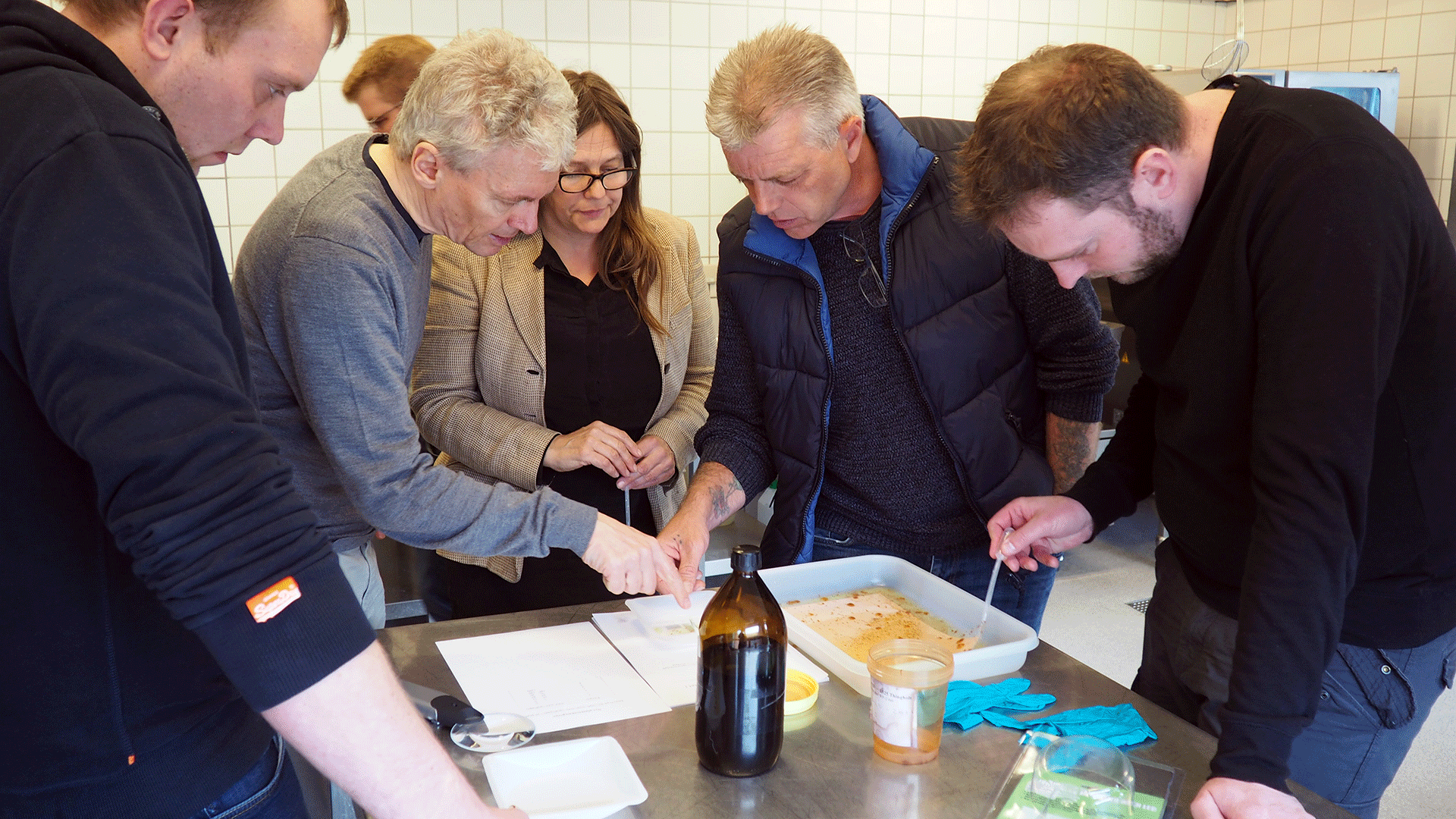 Fiskere og forskere ser på zooplankton. Foto: Helle Sørensen