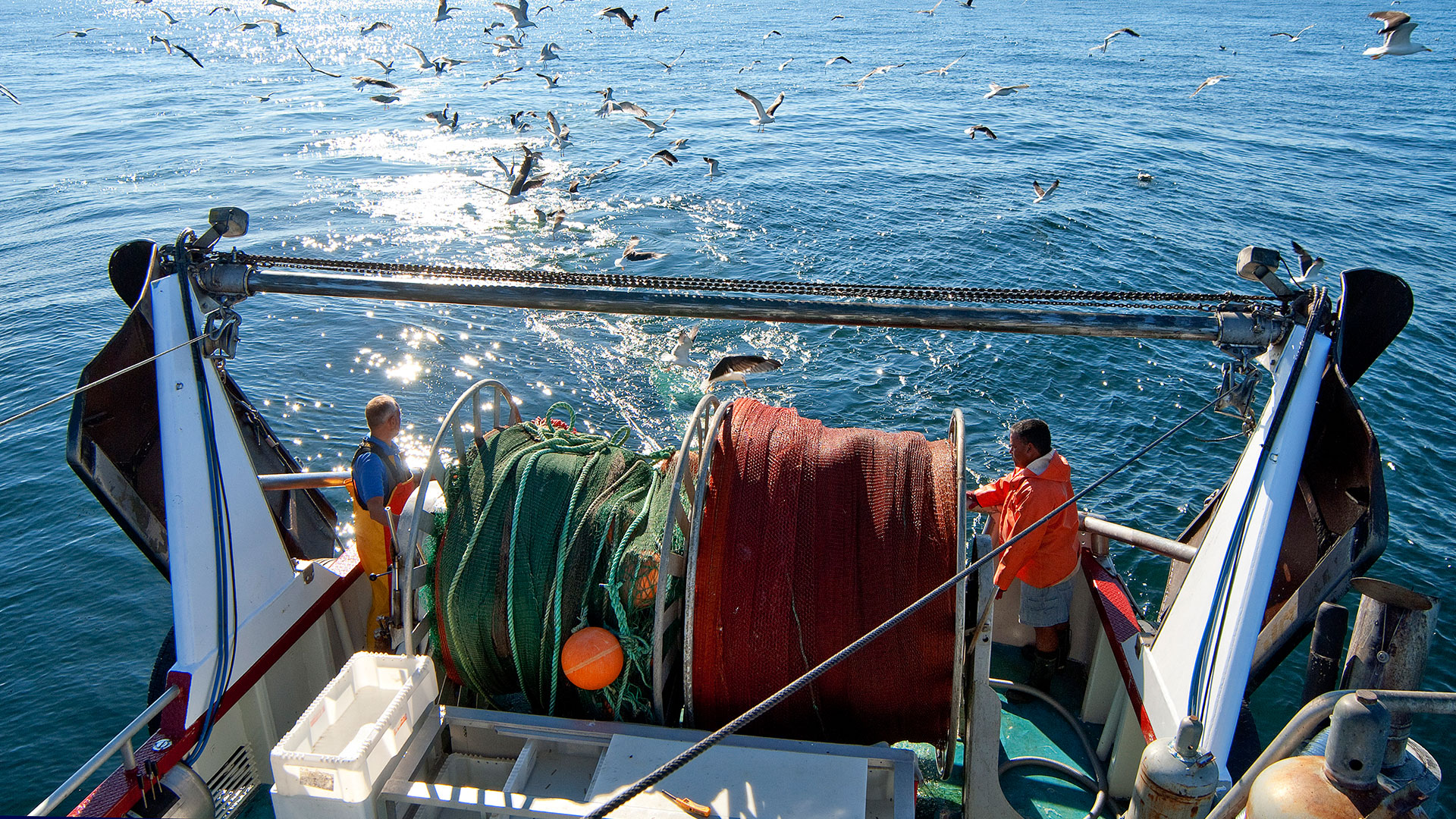 To fiskere ved trawlnettenes tromler på agterdækket af en trawler, mens måger flokkes over kølvandet