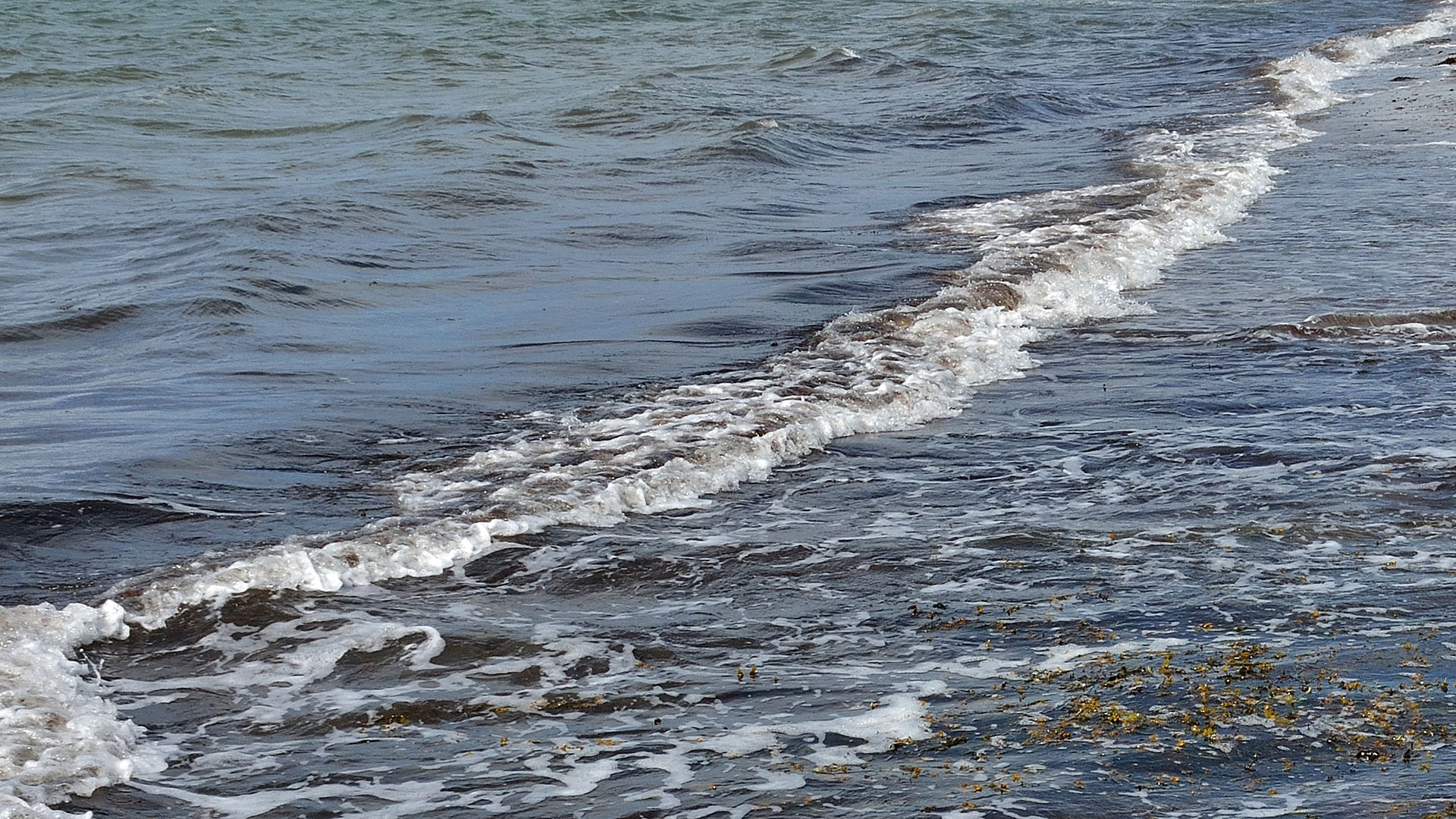 Informationsmøde om Sejerø Seascape-projektet