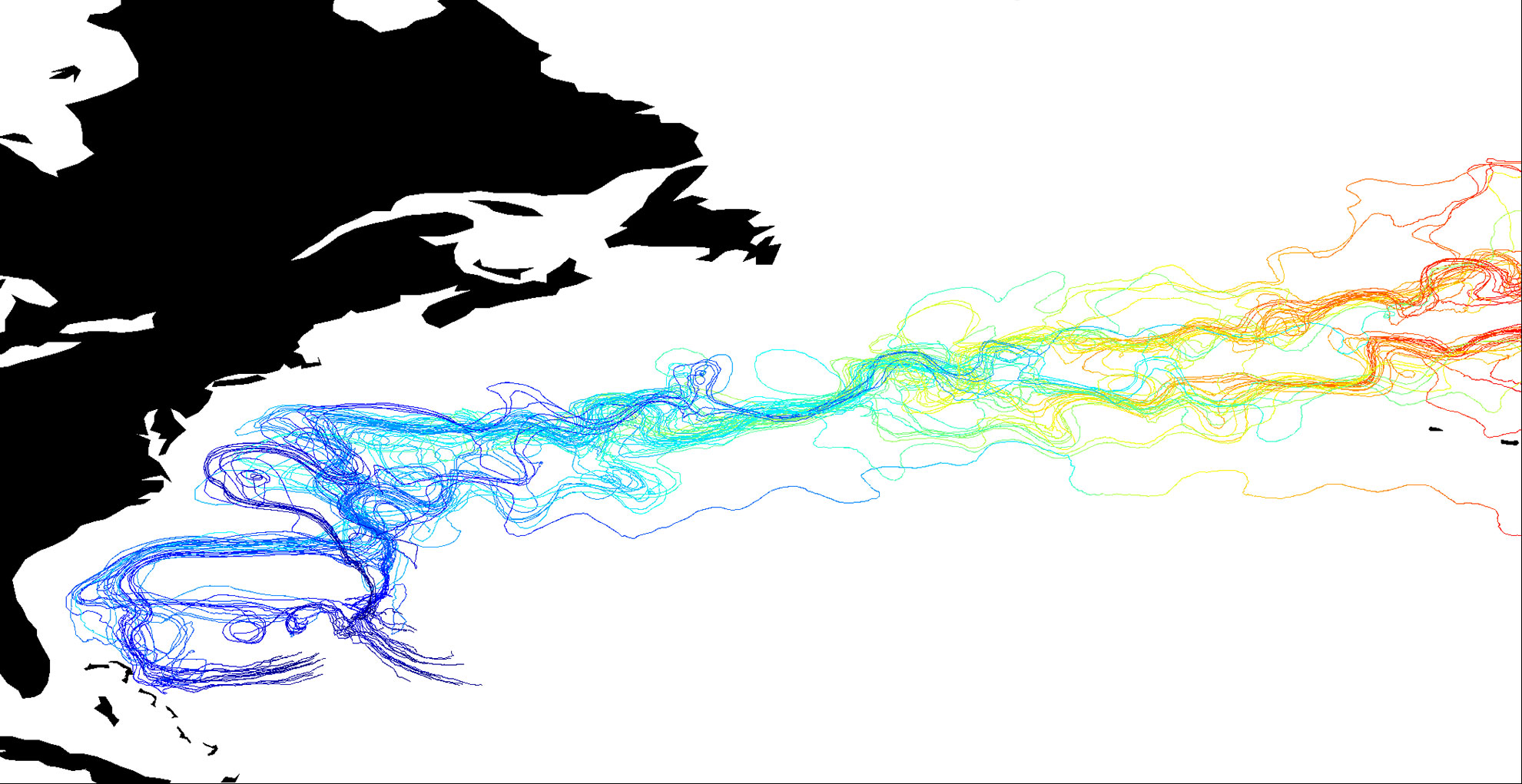 Trajectories of modelled European eel larvae in 2047. Extracted from the thesis. 