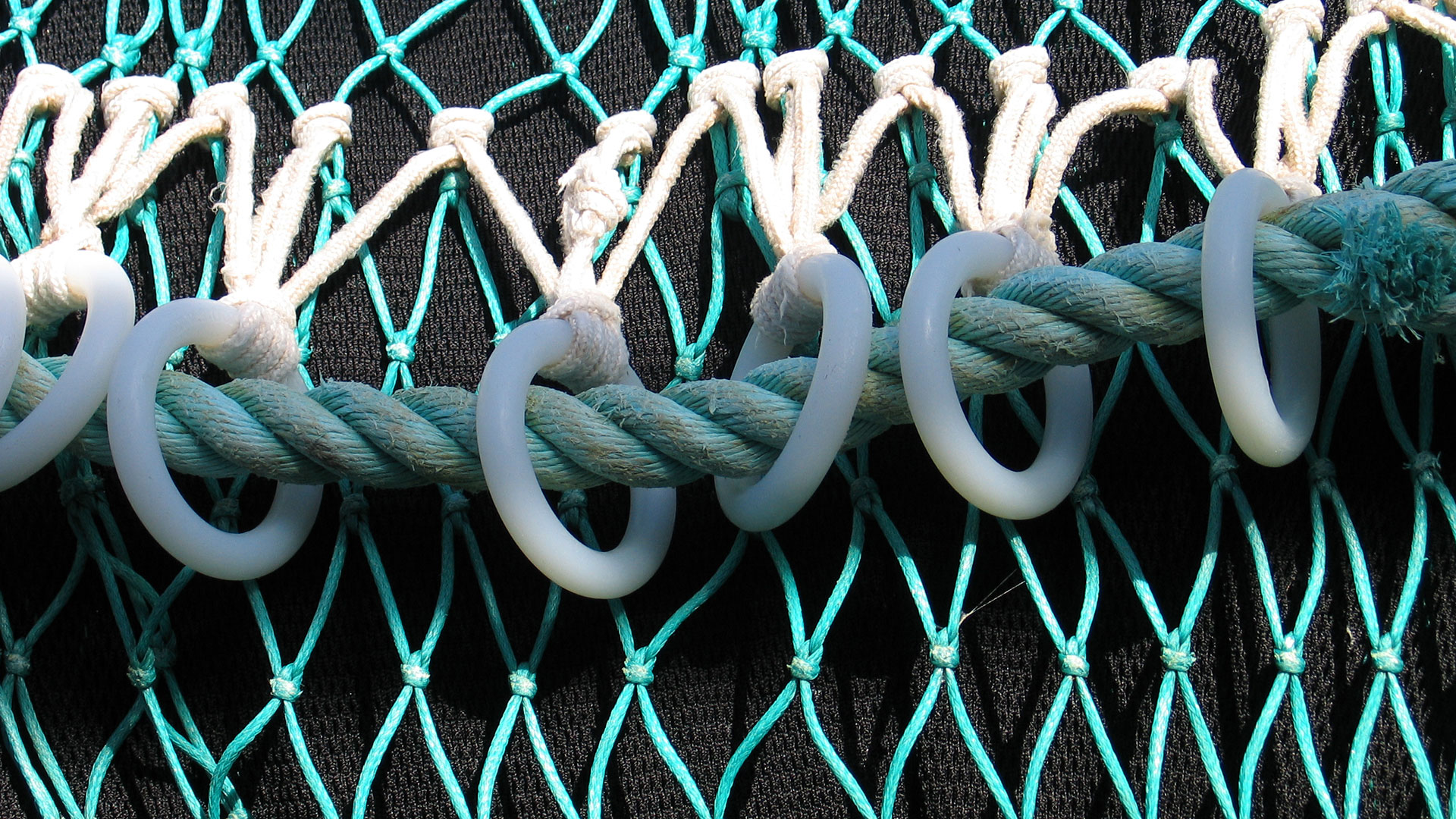 Udsnit af trawl ©Bastian Huwer Udsnit af trawl