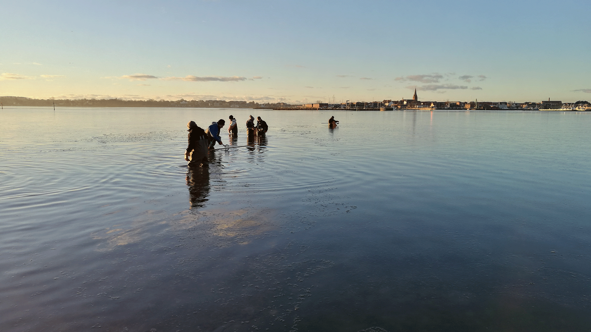 Østerssafari ©Dansk Skaldyrcenter Østerssafari