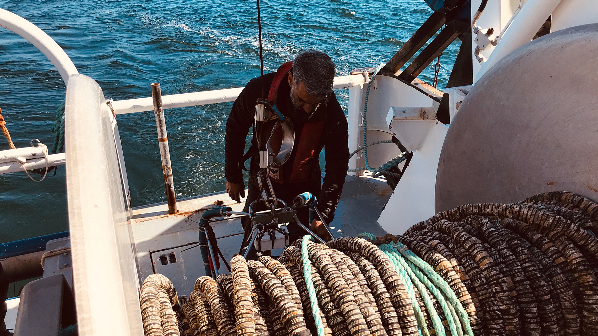 Udsætning af CTD fra Havfisken. Foto: Helle Falborg