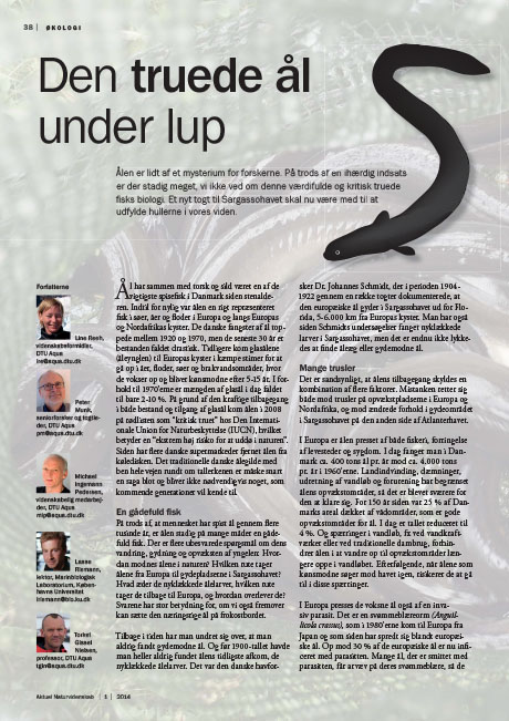 Aktuel Naturvidenskab nr 1 2014 side 38