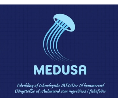 MEDUSA-logo MEDUSA-logo