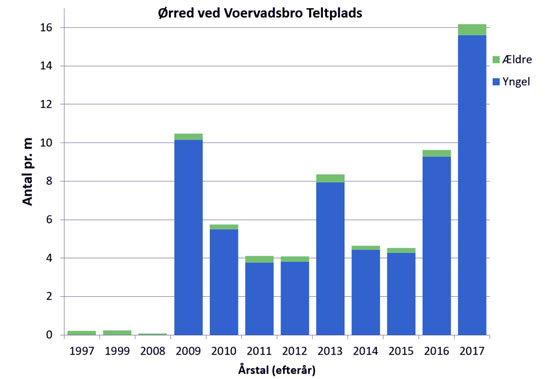 Søjlediagram over ørreder ved Voervadsbro