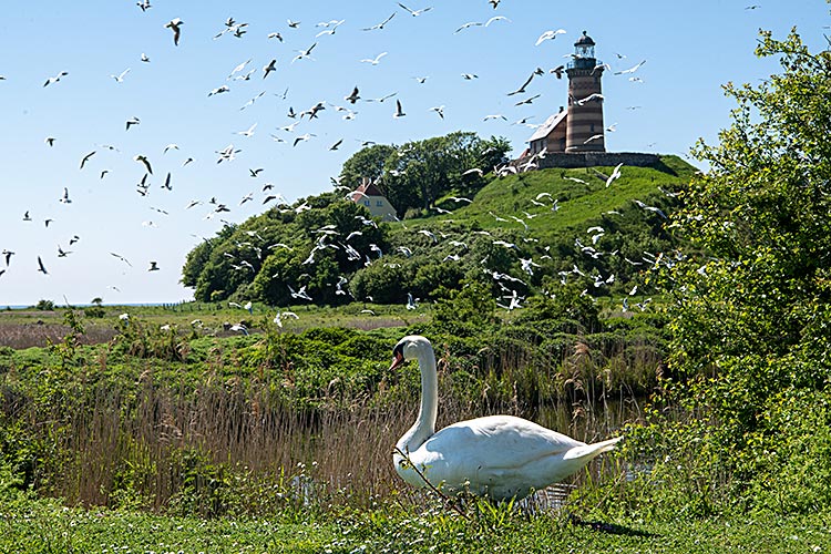 Sprogø PR foto Sund & Bælt