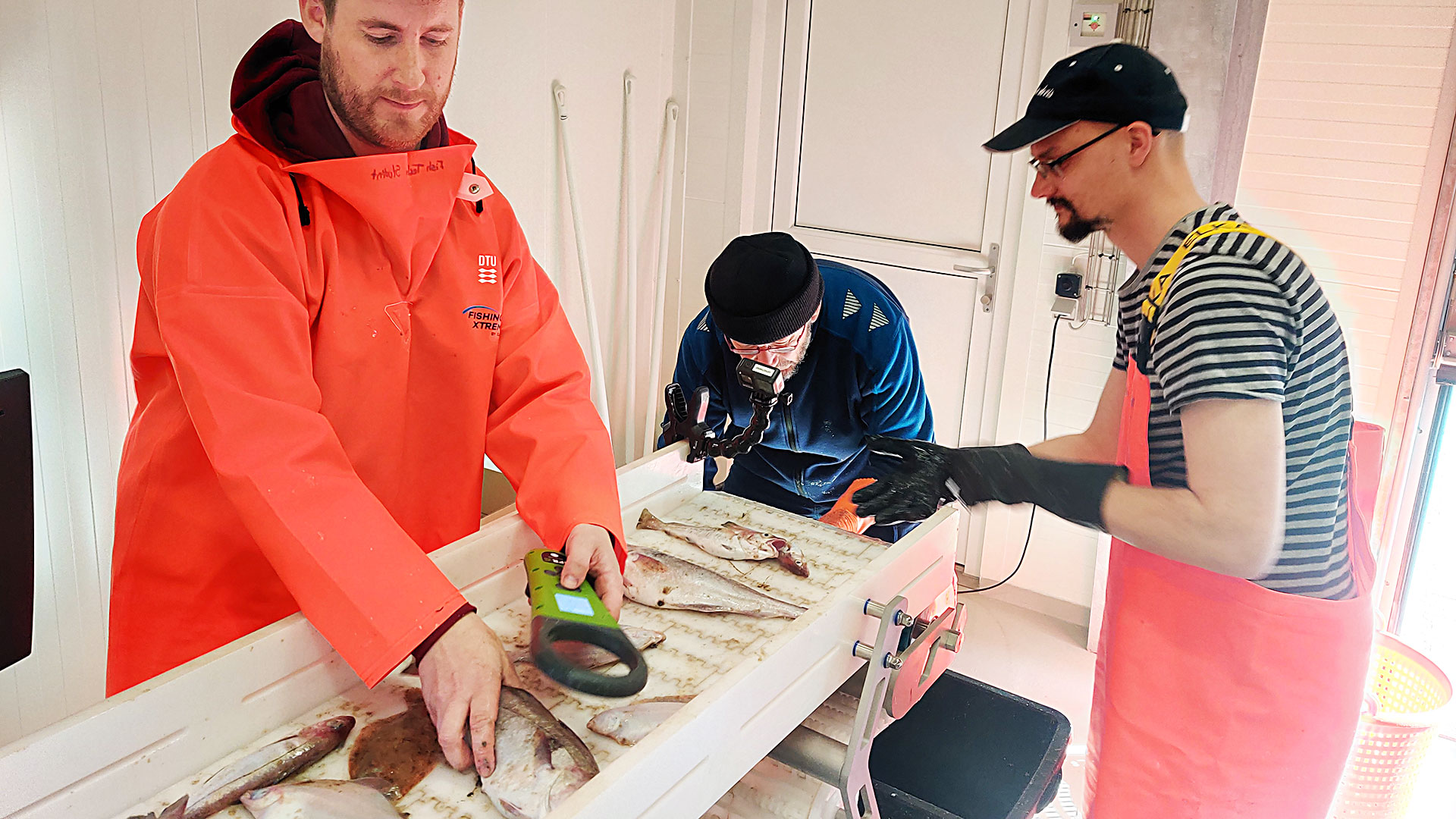 Ny hal i Hirtshals fiskeritek