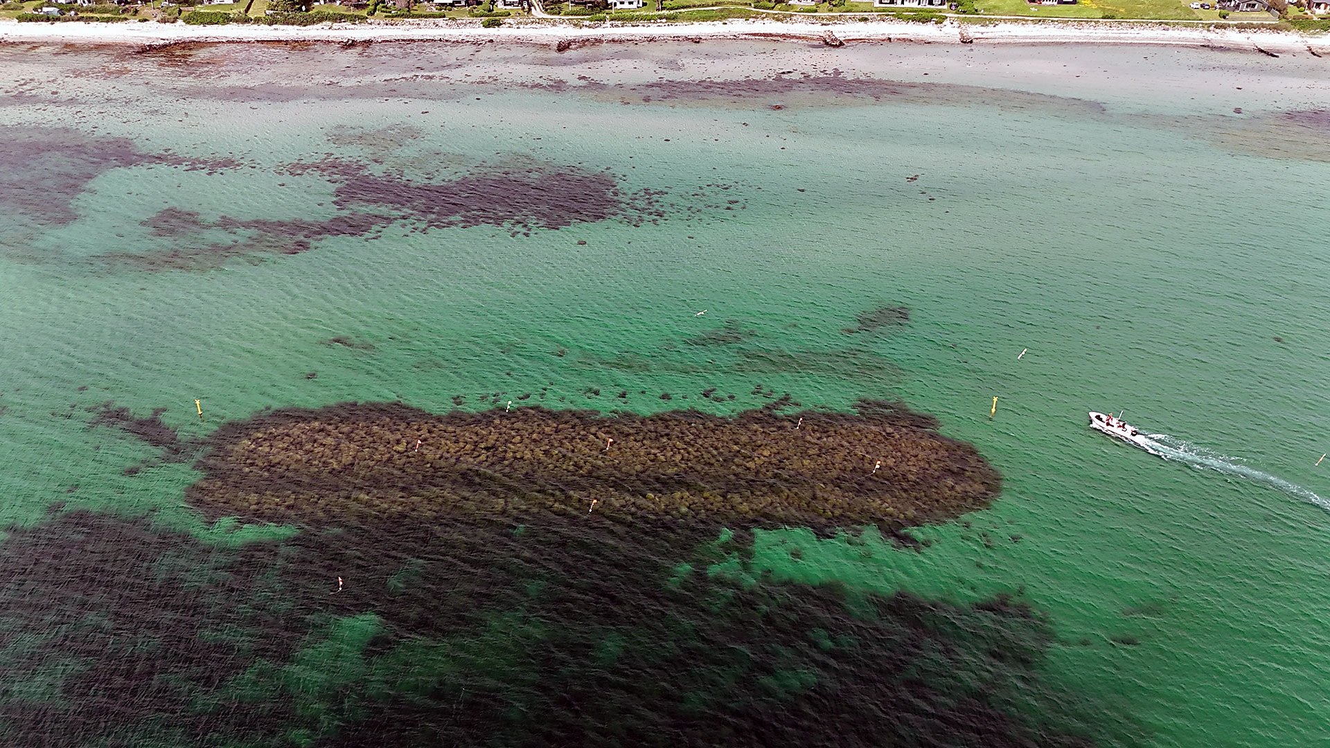 Dronefoto af BARREEF-stenrevet. Foto Simon Olsen