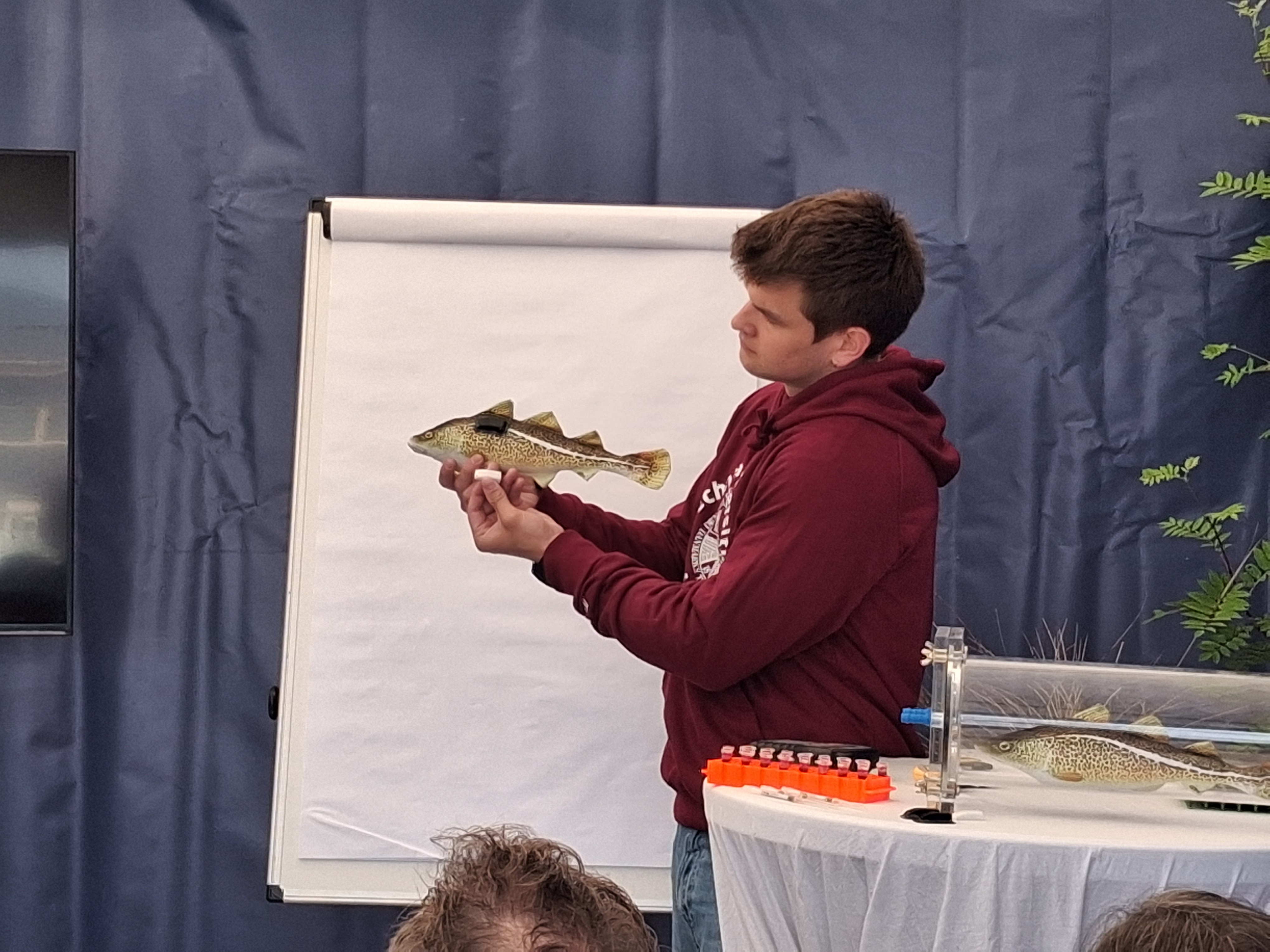 Naturmødet 2026. Foto Karin Stubgård