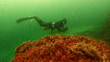Skagerrak foto Mikael van Deurs