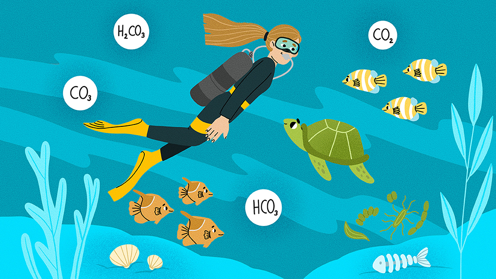 Dykker i havet ©Frontiers 2024 Dykker i havet
