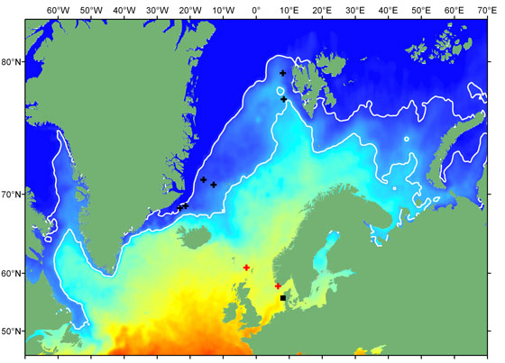 Vandring hos Atlantisk laks. Courtesy: David Righton, CEFAS.