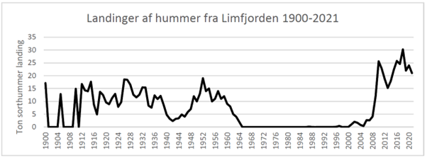 Landinger af sort hummer rapporteret i Limfjorden i perioden 1900-2021. 