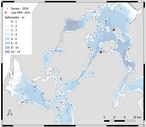 Mærkningslokaliteterne DTU Aquas undersøgelse i den vestlige del af Limfjorden (sorte prikker) og på stenrevet ved Livø (røde mærker).