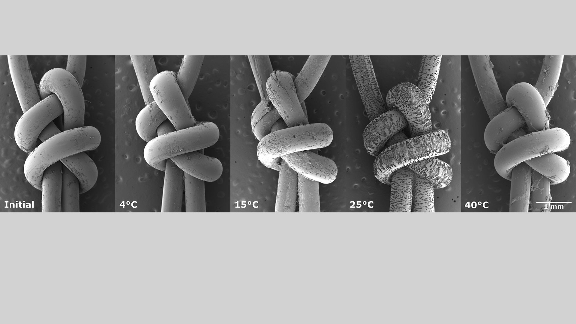 Degradation of net material at different temperatures