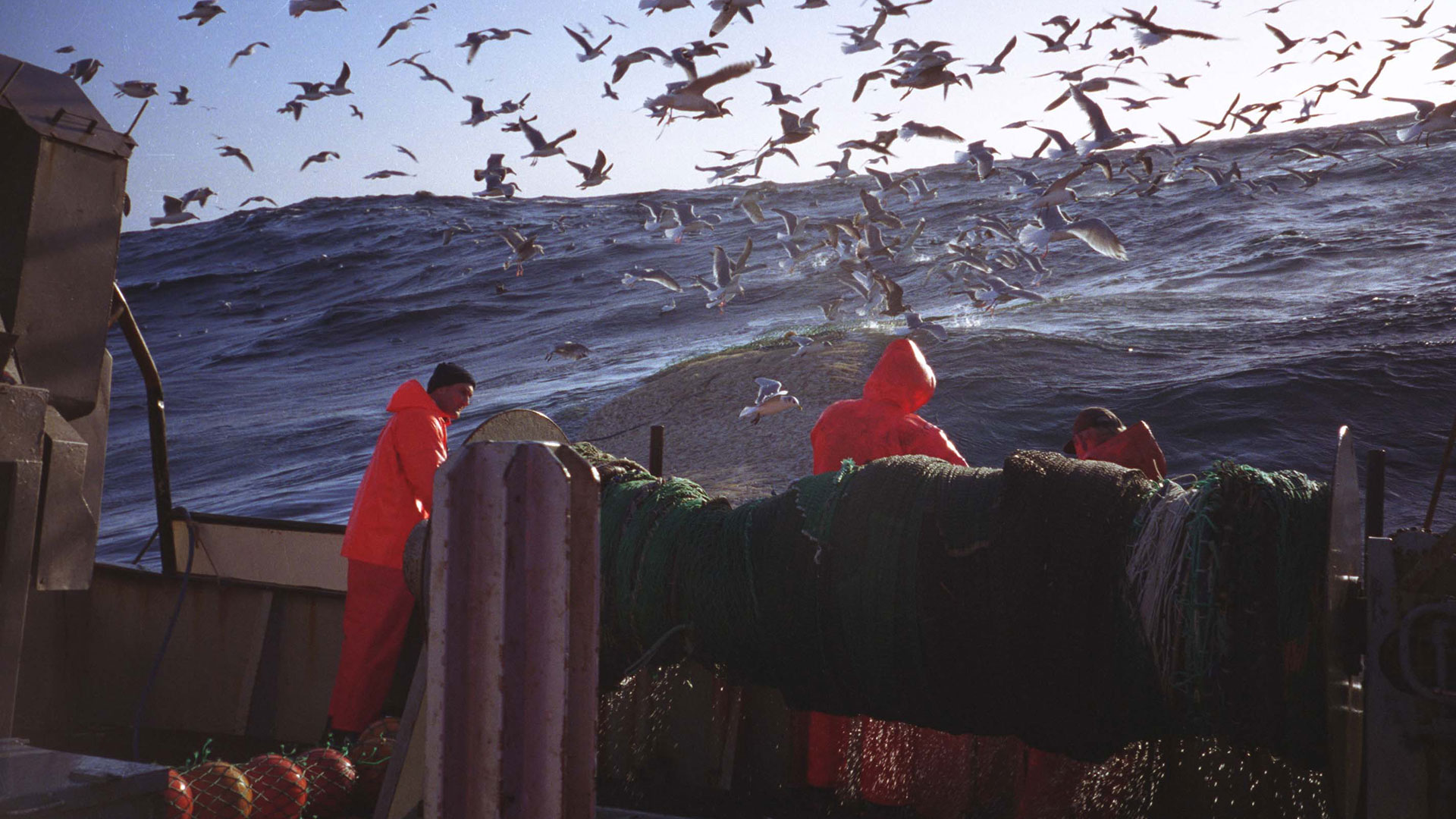 Fisheries