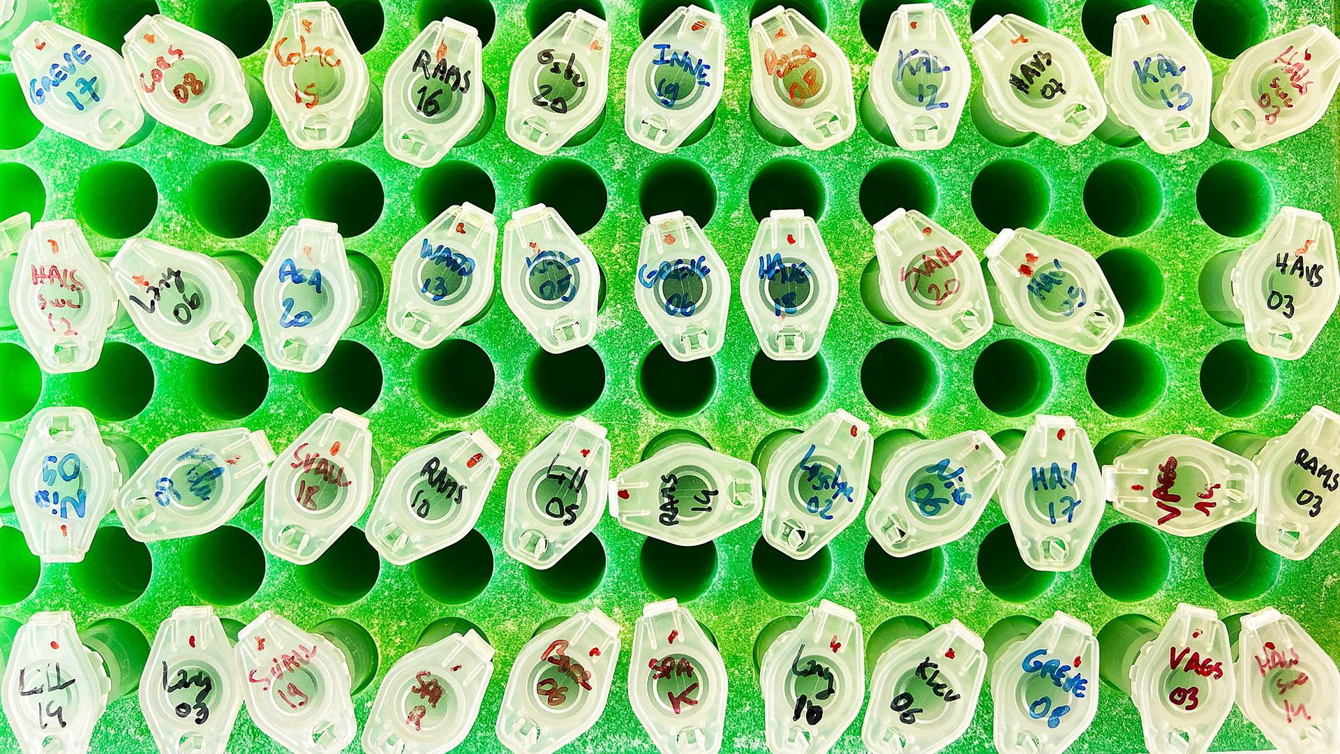 Test tubes for genetic analyses