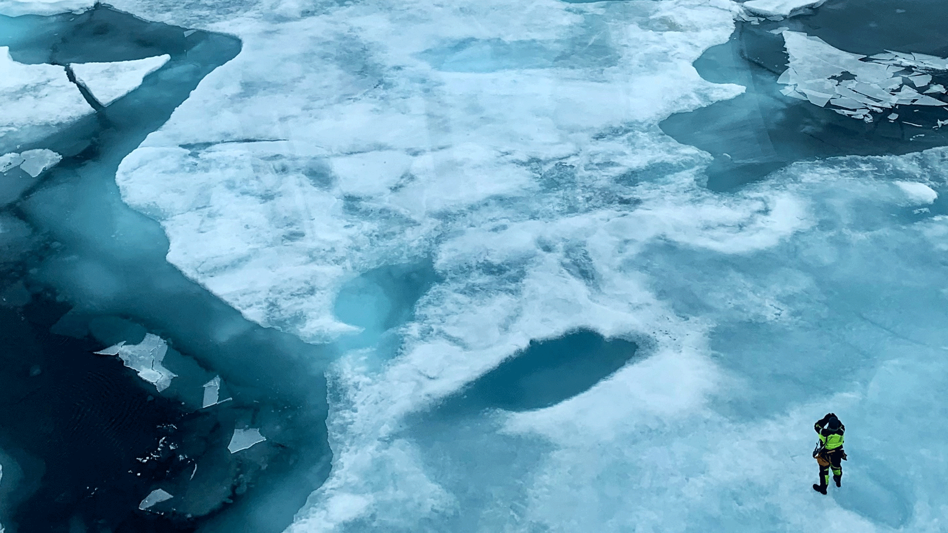 Sea-ice over the Northeast Greenland shelf, September 2023. ©Caroline Gjelstrup Sea-ice over the Northeast Greenland shelf, September 2023.
